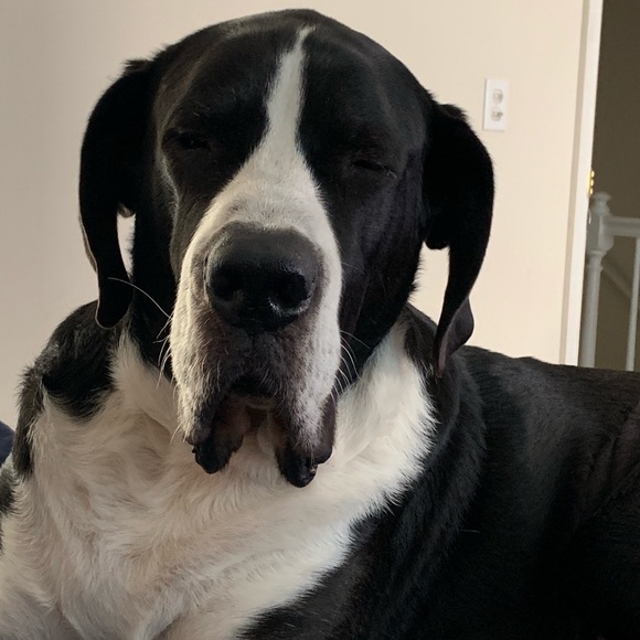 Meet your Posher, Jenny - Picture 1 of 1